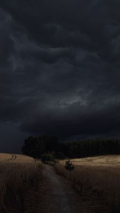 a dirt road in the middle of a field under a dark sky with storm clouds