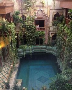 an indoor swimming pool surrounded by greenery in a building with two balconies