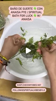 two hands holding leaves over a bowl of water