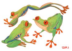 three green frogs with red eyes sitting next to each other