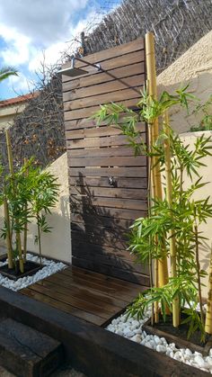 bamboo trees and white rocks in front of a wooden wall with a water feature on the side