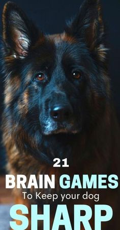 a dog with the words 21 brain games to keep your dog sharp