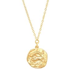 Perfect zodiac necklaces makes a lovely, personalized gift this season.  Casted from a vintage coin, for that heirloom nostalgic feel.  Capricorn (The Goat - Dec 22 - Jan 19) gold plated brass/gold filled chain or sterling silver/sterling silver chain finish: high polish Spring ring clasp closure cable chain product me Capricorn Necklace, Zodiac Birthdays, Zodiac Pendant, The Goat, Vermeil Jewelry, Zodiac Necklaces, Solid Gold Jewelry, Brass Gold, Brass Earrings