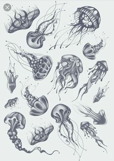 an ink drawing of jellyfishs and other sea creatures in various stages of development