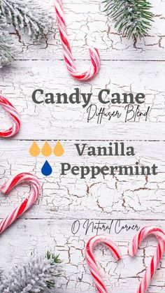 Vanilla Diffuser Blends, Christmas Diffuser Blends, Scentsy Oils, Vanilla Oil, Doterra Essential Oils Recipes, Essential Oil Carrier Oils