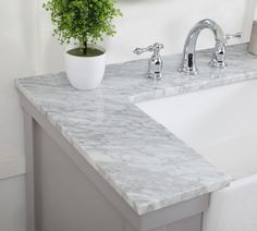 a bathroom sink with two faucets and a potted plant on the counter