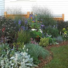 the garden is full of colorful flowers and plants, including lavenders, grasses, and succulents