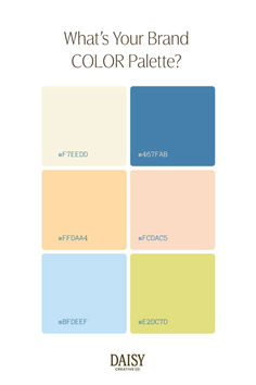 what's your brand color palette?