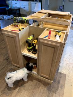 a dog is standing in the middle of a kitchen cabinet that has been built into it