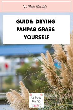 Guide on drying pampas grass yourself. Pampas Grass Diy, Dry Pampas, Popular Home Decor, Coffee Table Arrangements, Scandi Nursery, Dry Erase Wall, Chic Coffee Table, Pink Living Room, Life Guide