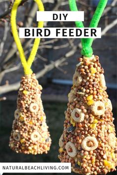 two bird feeders made out of cereal beads and green string with the words diy bird feeder