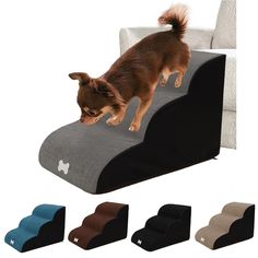 a small dog standing on top of a pet bed with four different colors and sizes