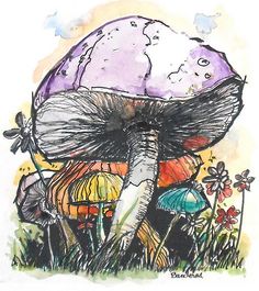 an ink drawing of mushrooms in the grass