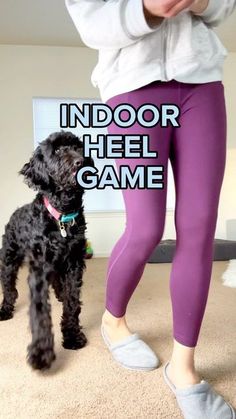 a black dog standing next to a woman in purple leggings with the words indoor heel game on it