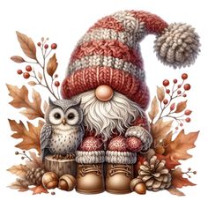 an owl and gnome sitting next to each other in front of autumn leaves, pine cones and acorns