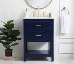 a bathroom vanity with a mirror, sink and potted plant in front of it