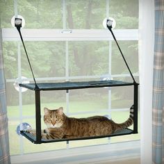 a cat laying on top of a window sill