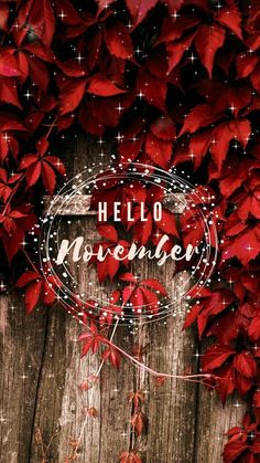 a wooden fence covered in red leaves with the words hello november written on it's side