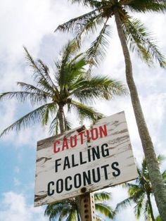 a sign that says caution falling coconuts