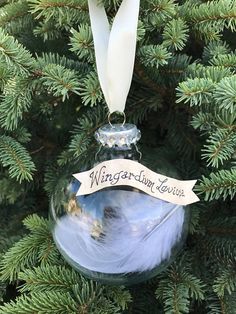 a glass ornament hanging from a christmas tree