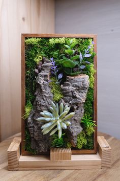 an arrangement of succulents and moss in a wooden frame on a table