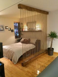 a bed room with a neatly made bed next to a tv and a plant on the floor