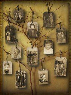 a family tree with many pictures hanging from it's branches and the names of their children