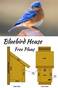 How to build a Bluebird house Tree Swallow Bird House Plans, Birdhouse Patterns Free Bird House Plans, Eastern Bluebird House Plans, Bluebird House Plans Diy, Diy Bluebird House, Diy Birdhouse Plans, Blue Bird House