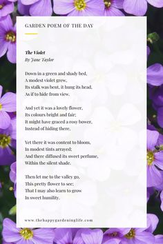 purple flowers with the poem garden poem of the day written in white text on top