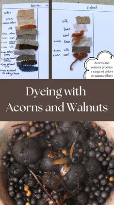 some sort of food that is in a bowl with the words dyeing with acorns and walnuts