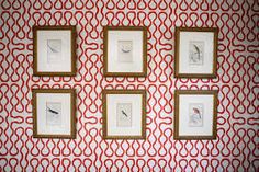 four framed pictures on a wall with red and white pattern in the background, along with gold trim