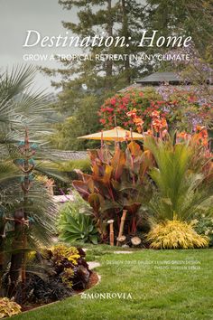 the front cover of destination home magazine with tropical plants and flowers in the foreground