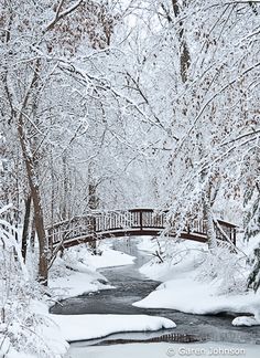 a bridge over a river surrounded by snow covered trees