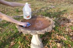 a person is using a spray bottle to clean a bird bath on top of a tree stump