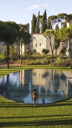 a dog that is standing in the grass near a large pool with water on it