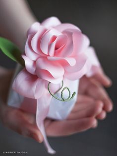 a person holding a pink flower in their hands