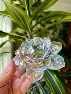 a hand is holding a clear glass flower