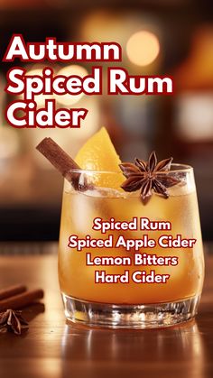 an autumn spiced rum cider with cinnamon and star anise on the side