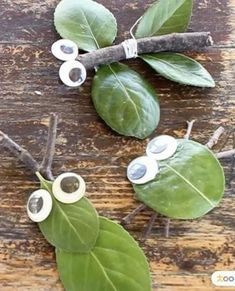 some leaves and googly eyes on a wooden table