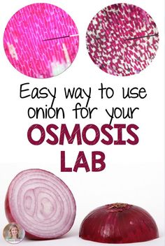 an onion with the words easy way to use onion for your osmosis lab