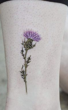 a small purple flower on the ankle