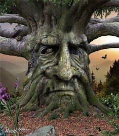 an image of a tree that has been carved into the face of a man's head