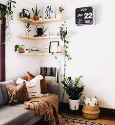 a living room filled with lots of furniture and plants on top of shelves next to a window