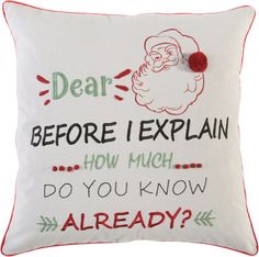 a pillow that says dear before i explain how much do you know already?