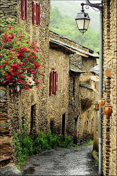 an old street with flowers growing on it and a lamp post in the middle that says visit france