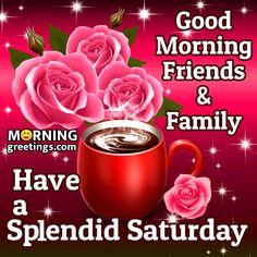 good morning friends and family have a splendid saturday greeting with pink roses in a red mug