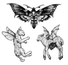 three different types of animals with wings and moths on their backs, one is black and white