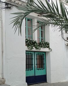 a green door and window on a white building with blue trim, surrounded by palm leaves