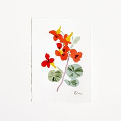 a watercolor painting of red and yellow flowers with green leaves on a white background