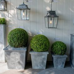 three cement planters with topiary plants in them next to a light fixture on the wall